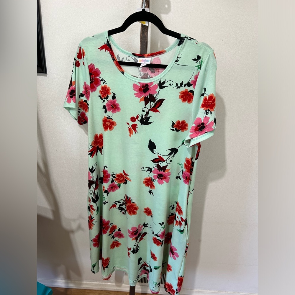 LulaRoe- mint green floral dress size large